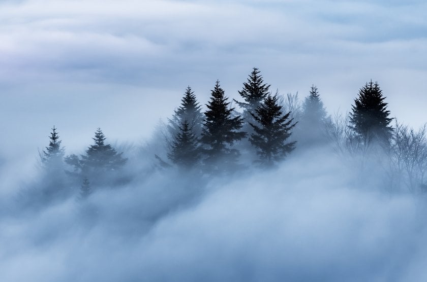 How To Photograph Fog: Essential Equipment, Settings, And Composition I Skylum Blog | Skylum Blog(4)