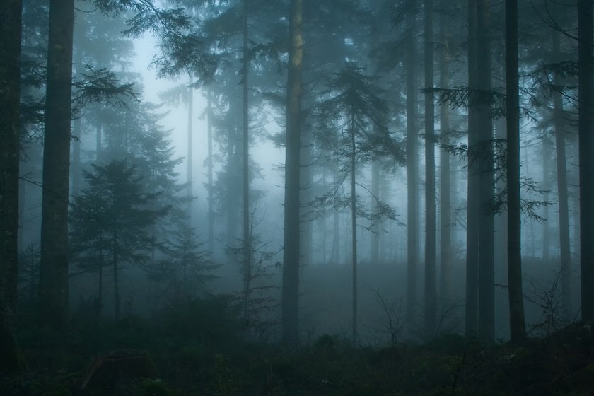 How To Photograph Fog: Essential Equipment, Settings, And Composition I Skylum Blog | Skylum Blog(6)