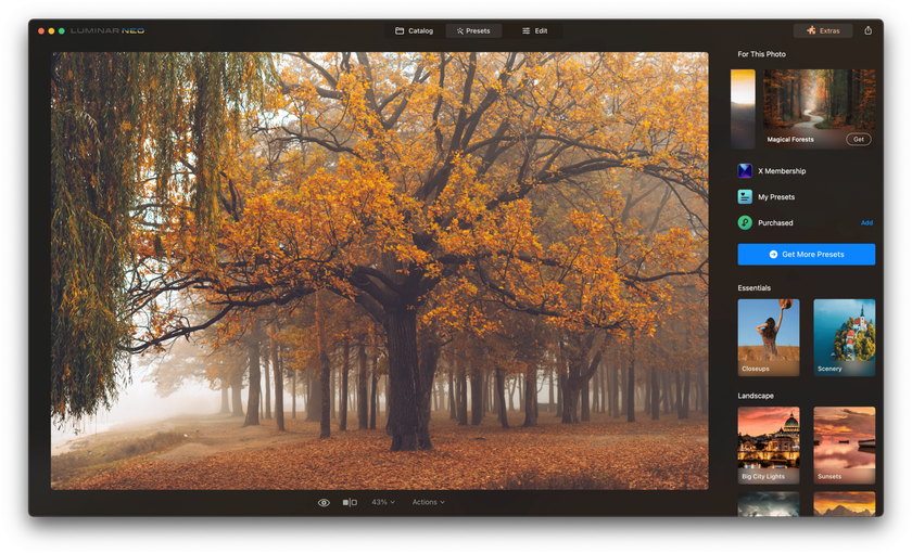 Fall Leaves Photography: Tips to Photograph Fall Foliage | Skylum Blog(8)