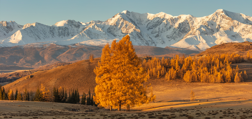 Fall Leaves Photography: Tips to Photograph Fall Foliage | Skylum Blog(3)