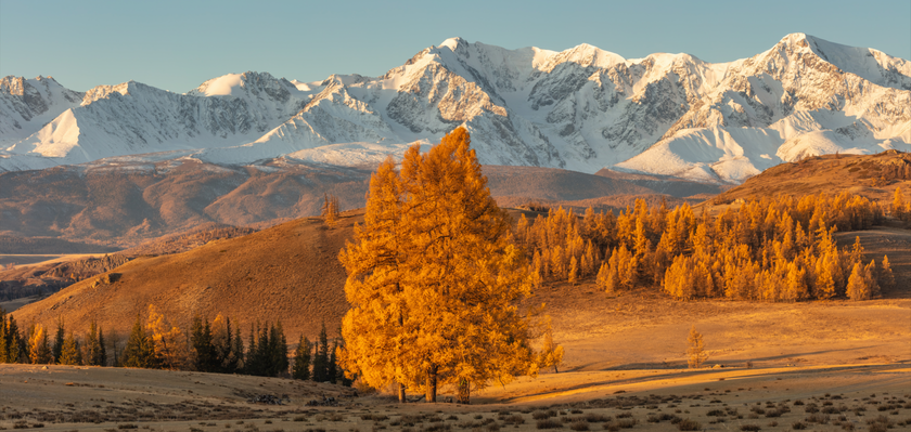 How To Photograph Fall Foliage And Capture The Vibrant Beauty I Skylum Blog | Skylum Blog(2)