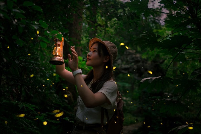 How To Photograph Fireflies To Capture This Magical Beauty I Skylum Blog | Skylum Blog(5)