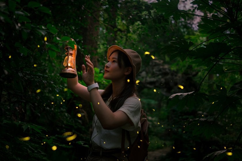 How To Photograph Fireflies To Capture This Magical Beauty I Skylum Blog | Skylum Blog(4)