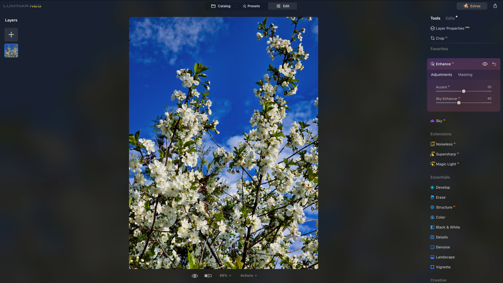 初心者に最適な写真編集ソフト17選-無料・体験版・有料｜Skylum Blog