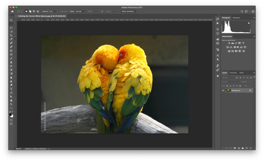 7 Best Photoscape Alternatives for Windows & Mac I Skylum Blog | Skylum Blog(4)
