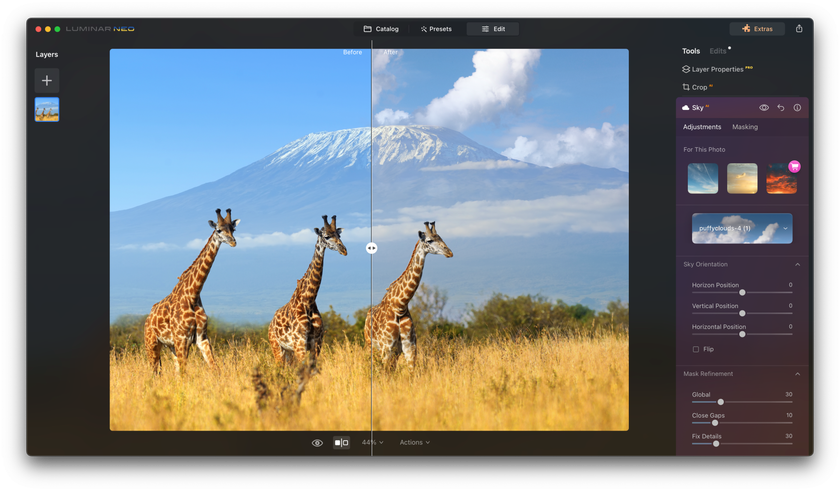 How to edit wildlife photos with AI Image5