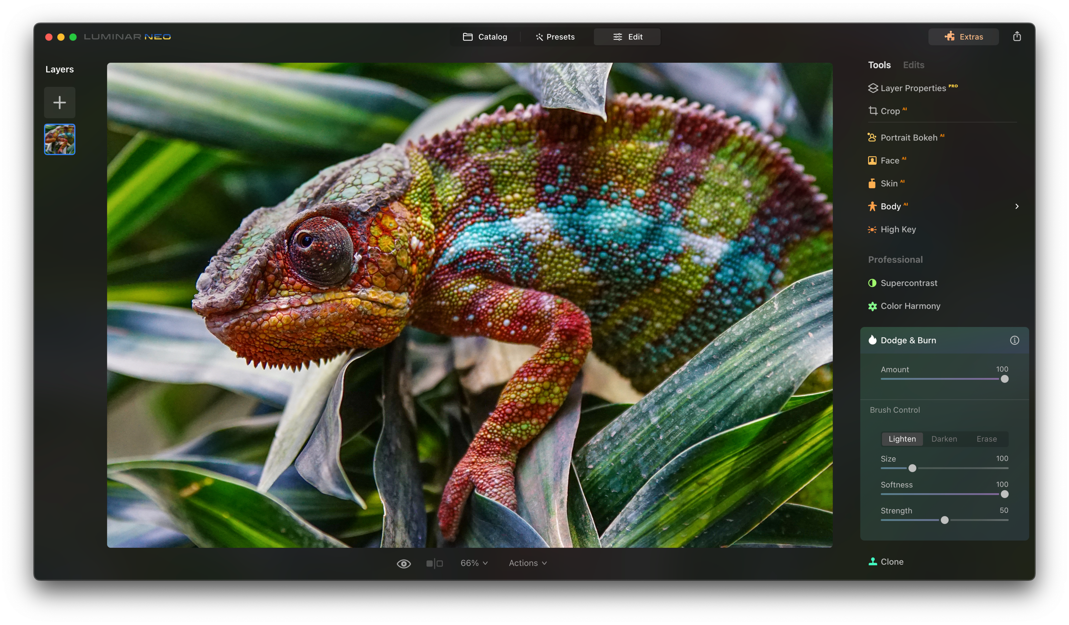 How to edit wildlife photos with AI Image6