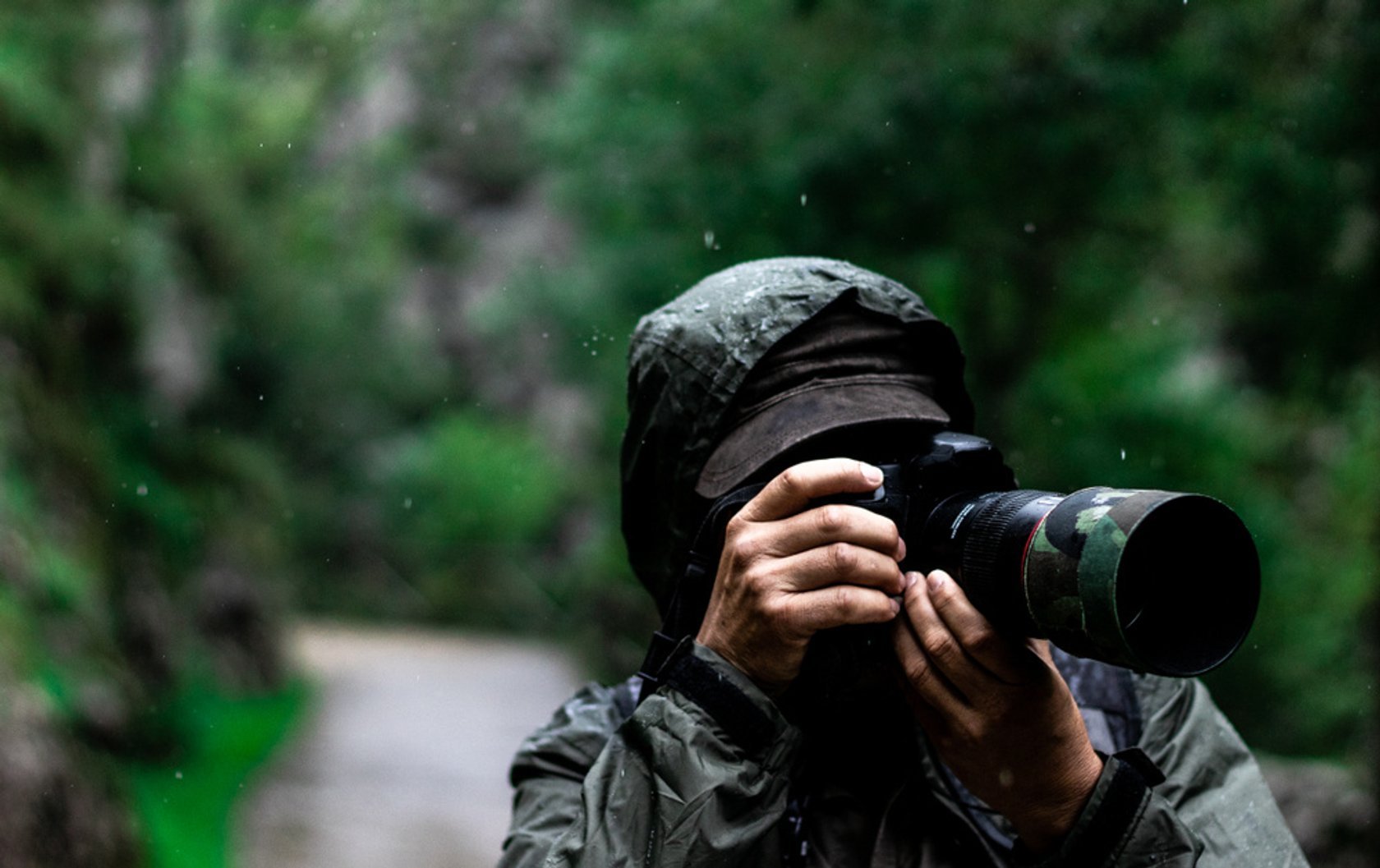 Lenses for wildlife, landscape and nature photographers