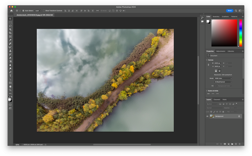 How to Flip a Layer in Photoshop Image3