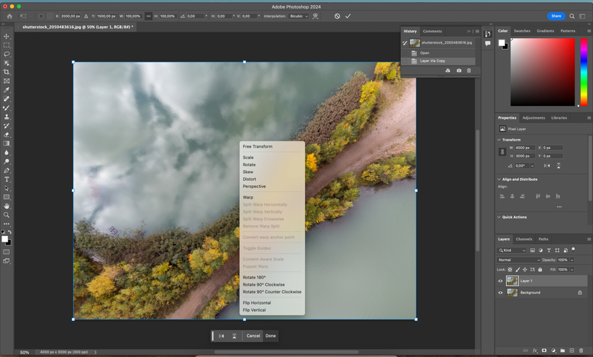 How to Flip a Layer in Photoshop Image5