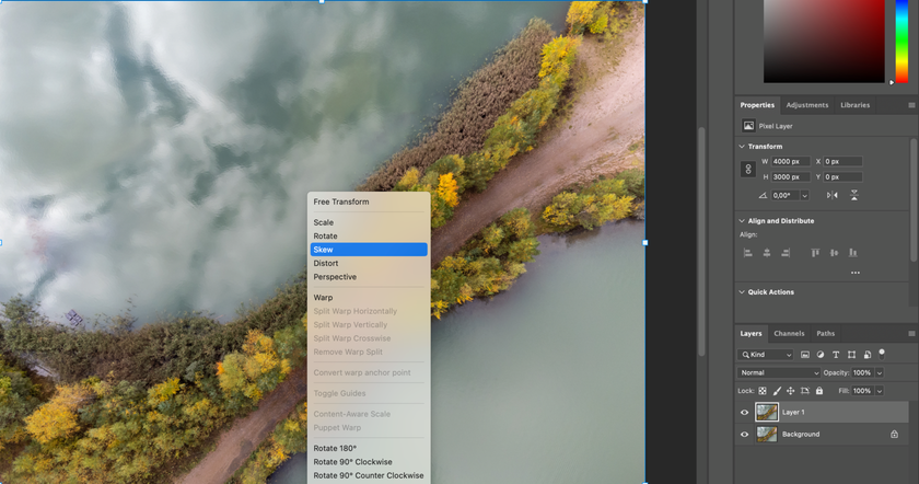 How to Flip a Layer in Photoshop Image8