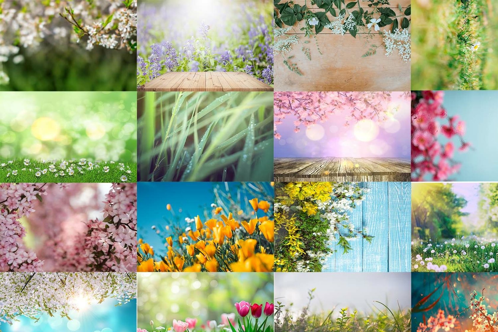 Create Beautiful Shots With This Spring Photo Backdrop Ideas | Skylum Blog