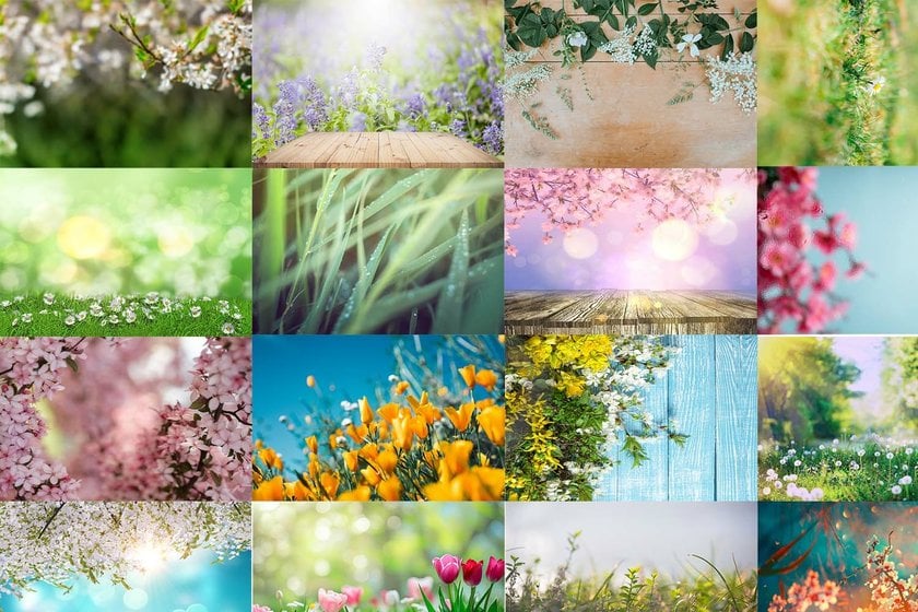 Create Beautiful Shots With This Spring Photo Backdrop Ideas | Skylum Blog(5)
