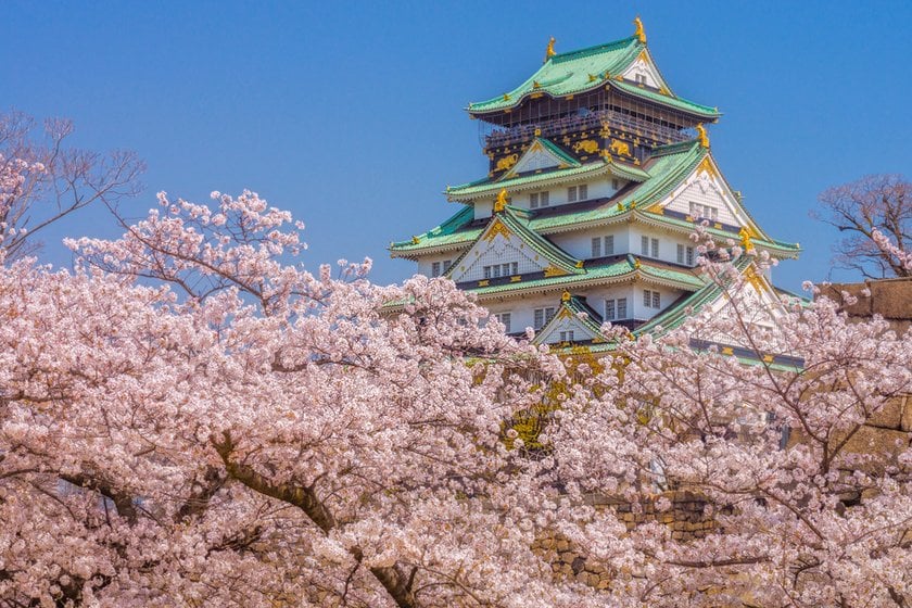 Japan Cherry Blossom Festival 2024: A Detailed Guide | Skylum Blog(5)