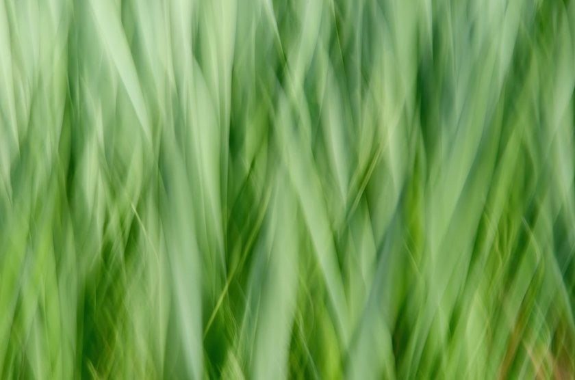 Taming the Unpredictable: Mastering Intentional Camera Movement Photography | Skylum Blog(7)