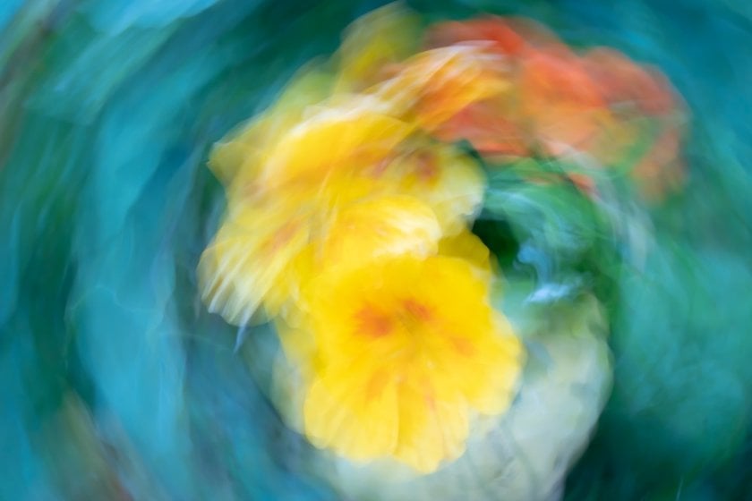 Taming the Unpredictable: Mastering Intentional Camera Movement Photography | Skylum Blog(10)