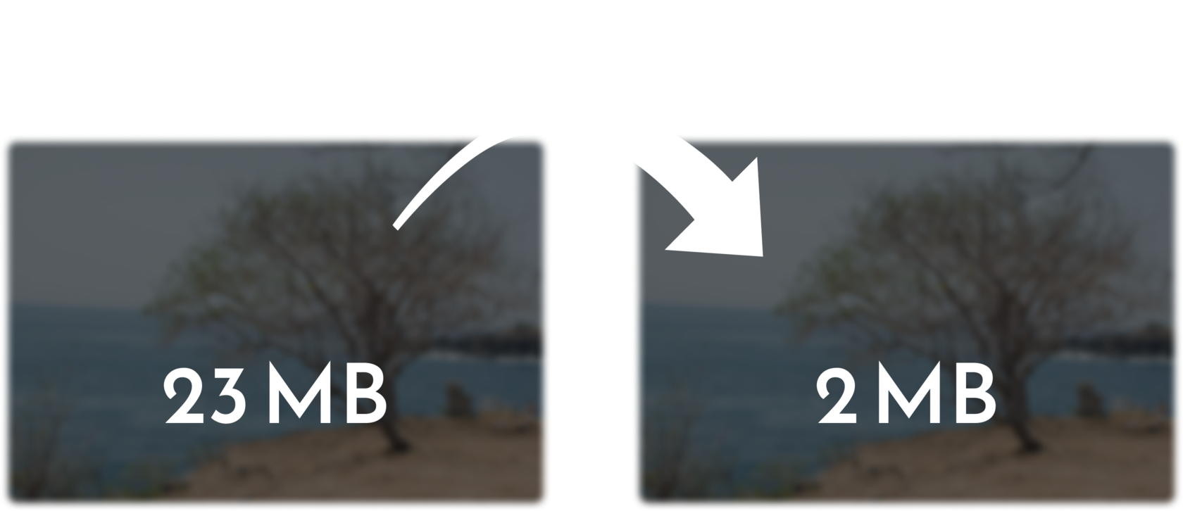 How To Reduce The Size Of Luminar Neo Catalog Folder? Skylum Howto