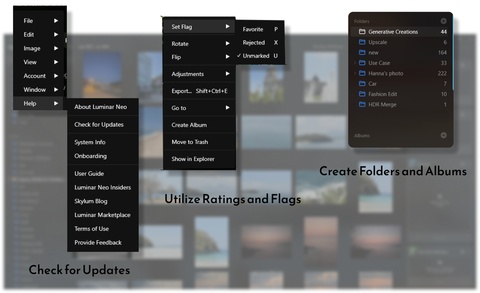 How To Reduce The Size Of Luminar Neo Catalog Folder? Skylum Howto
