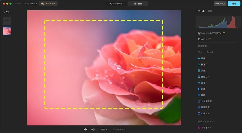 How to Edit Macro Photos with Luminar Neo: Application Tips and Extensions | Skylum Blog(2)