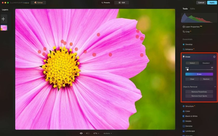 How to Edit Macro Photos with Luminar Neo: Application Tips and Extensions | Skylum Blog(4)