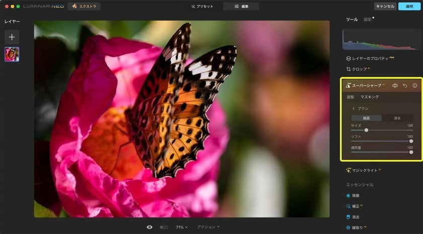 How to Edit Macro Photos with Luminar Neo: Application Tips and Extensions | Skylum Blog(5)