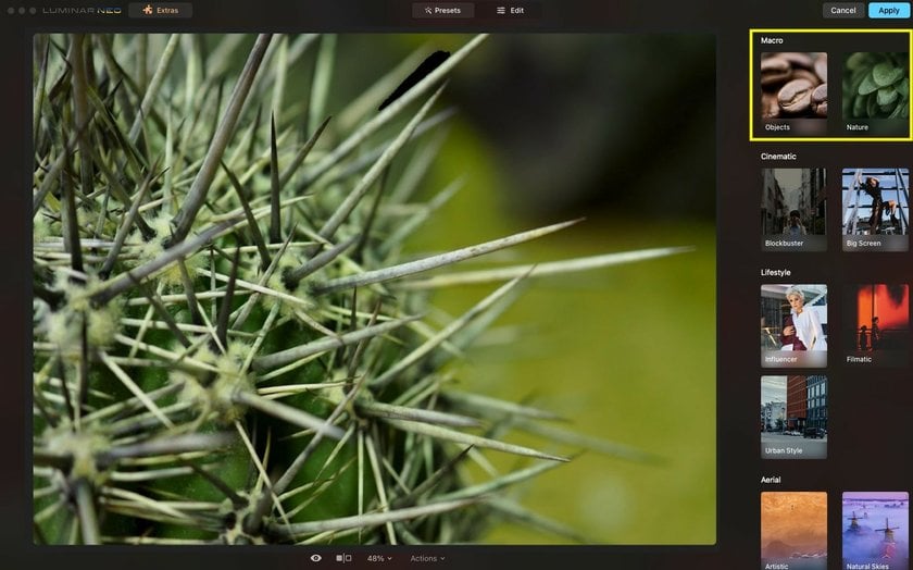Luminar Neoを使ったマクロ写真の編集方法と役立つ拡張機能 | Skylum Blog(5)