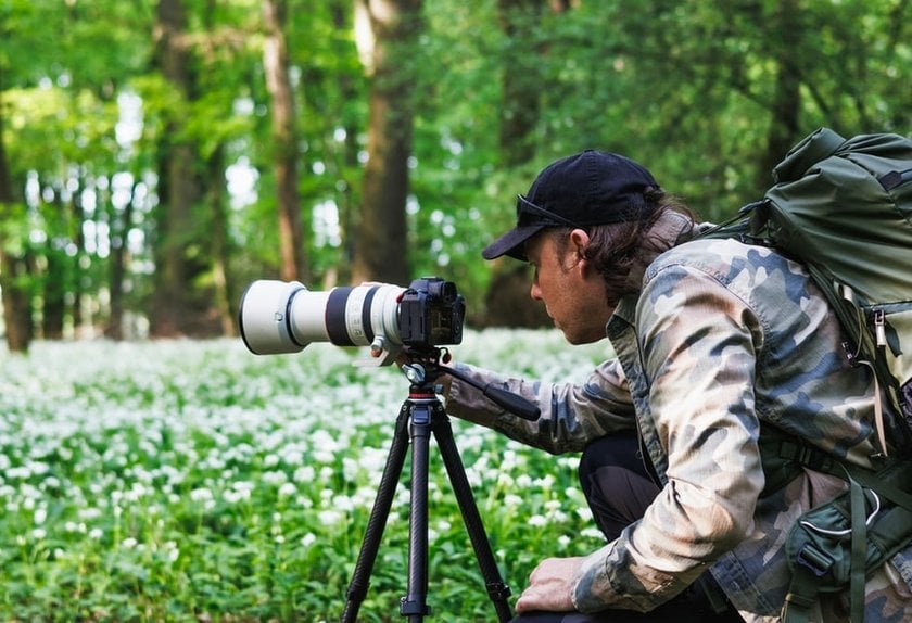 Wildlife Photography Tips And Tricks: A Guide To Masterful Shots | Skylum Blog(3)