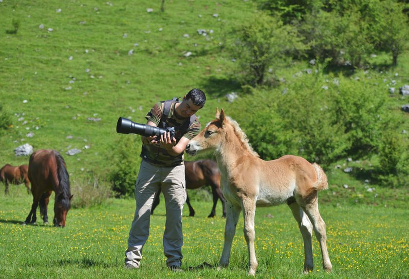 Wildlife Photography Tips And Tricks: A Guide To Masterful Shots | Skylum Blog(11)