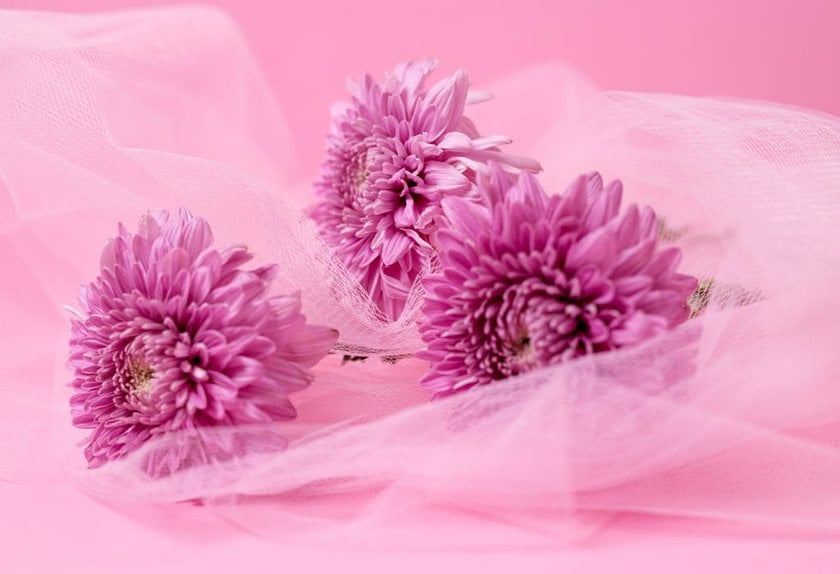 Flower Arrangement Photography To Bloom Your Business | Skylum Blog(5)