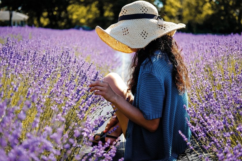 Lavender Field Photoshoot Ideas for Every Mood | Skylum Blog(3)