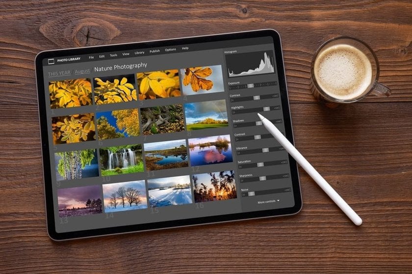 Best iPad For Editing Photos: Models Compared & Ranked | Skylum Blog(3)