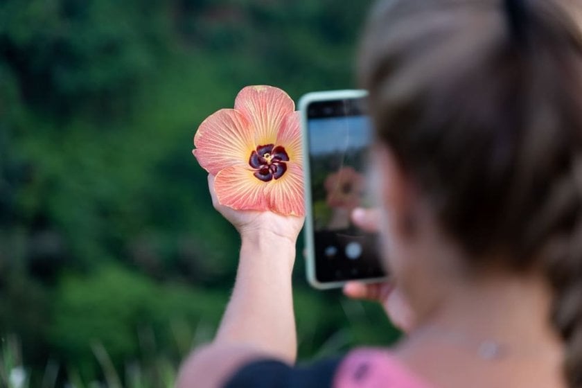 How To Get Bokeh Effect Shooting With IPhone | Skylum Blog(6)