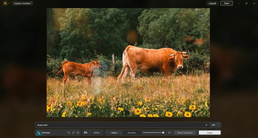 How To Edit Photos Like A Professional: Crucial Steps Image7