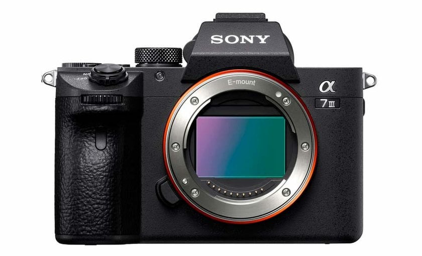 Top Sony Mirrorless Camera: Explore Features & Make Choice | Skylum Blog(10)