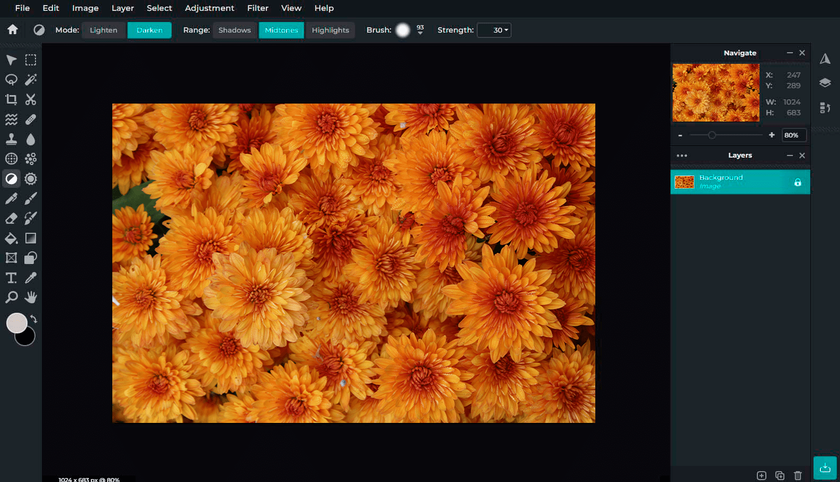 Free Alternatives To Photoshop: Photo Editing Freedom | Skylum Blog(10)