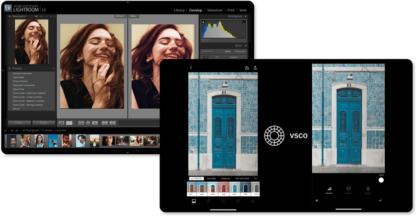 Lightroom vs VSCO: Finding The Perfect Fit | Skylum Blog(2)