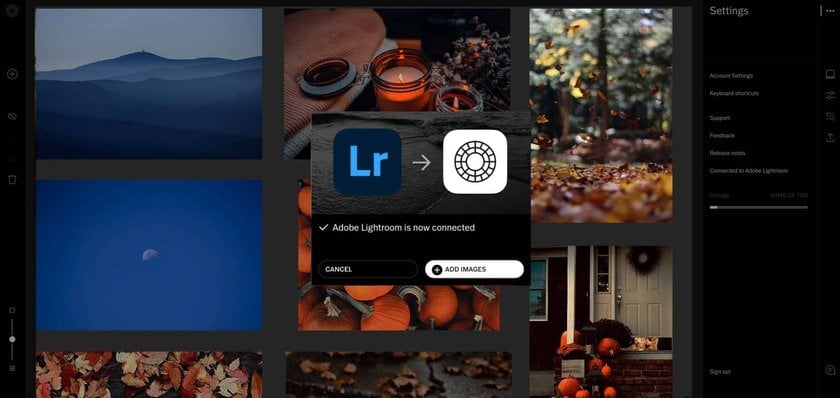 Lightroom vs VSCO: Finding The Perfect Fit | Skylum Blog(6)