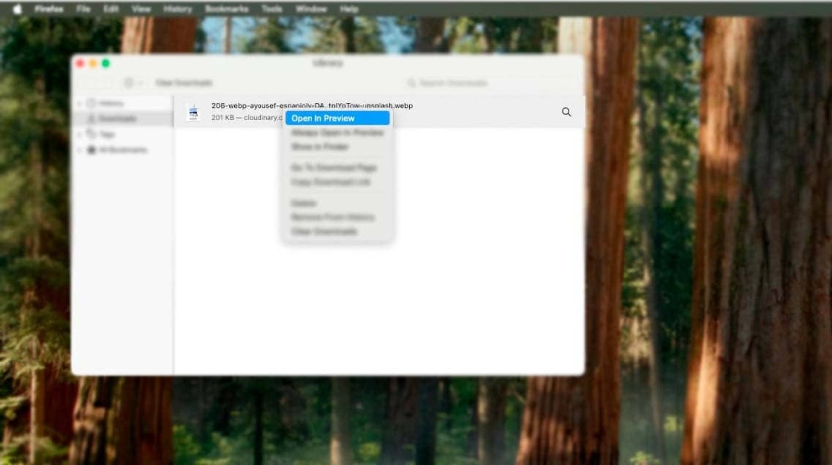 Your Ultimate Tutorial On How To View WebP Files Skylum Howto