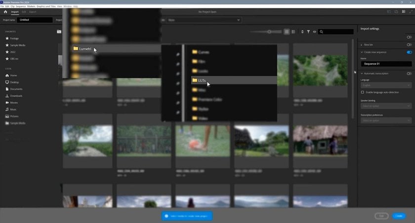 How To Install LUTs In Davinci Resolve And Adobe Premier Pro | Skylum Blog(3)