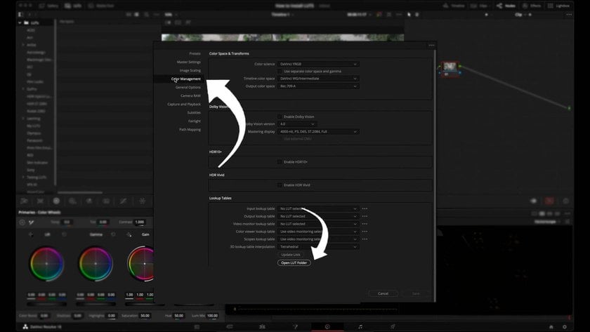 How To Install LUTs In Davinci Resolve And Adobe Premier Pro | Skylum Blog(5)