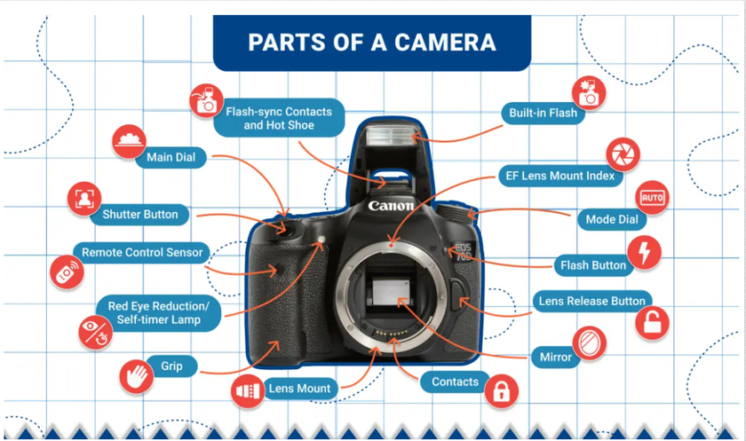 Essential Camera Parts Labeled | Skylum Blog(3)