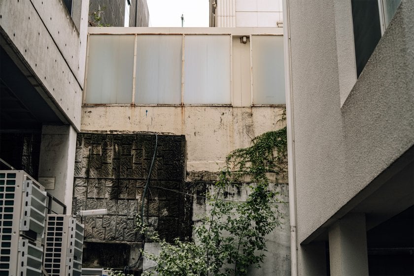 View of an Ivy-Covered Abandoned Building | Skylum Blog