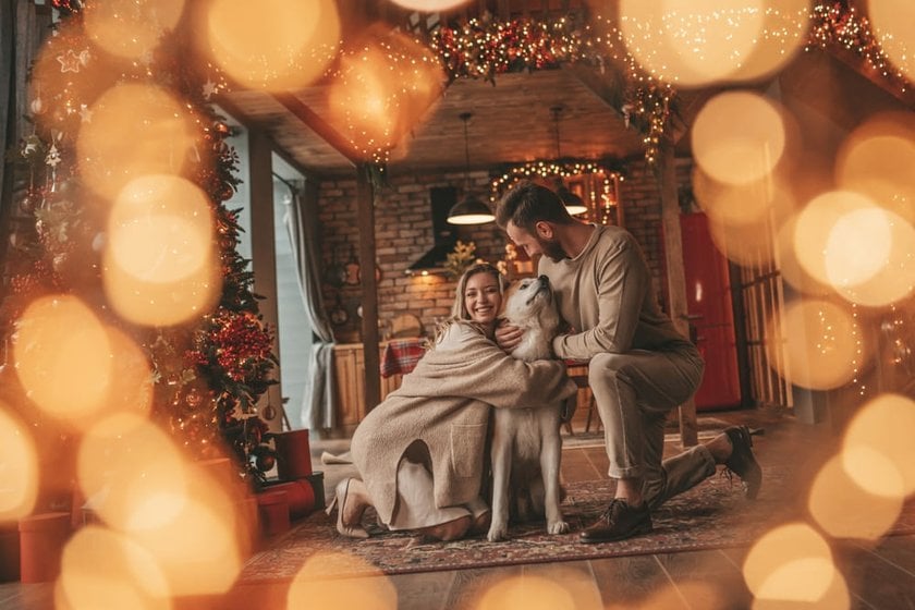 Photo of a Couple with Their Dog in Christmas Decorations | Skylum Blog