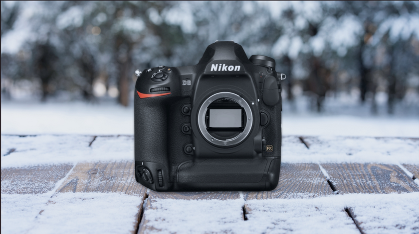 Nikon D6 Camera | Skylum Blog