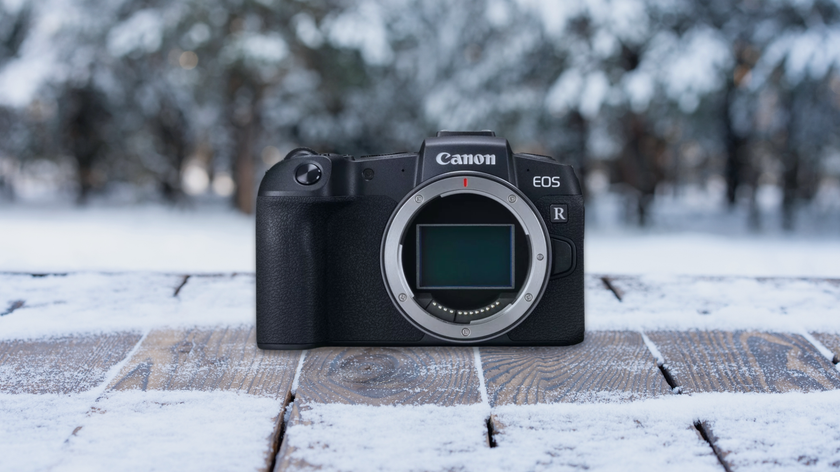 Canon EOS RP Camera | Skylum Blog