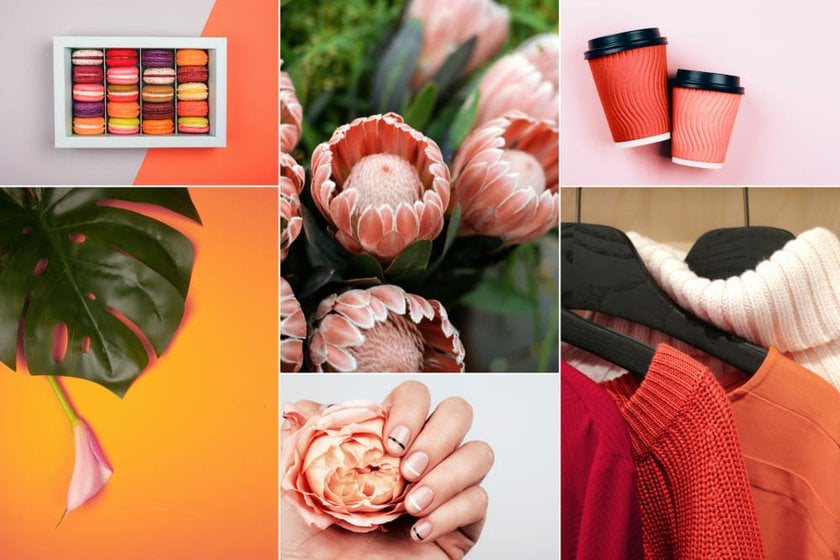 Vibrant Orange Mood Board | Skylum Blog