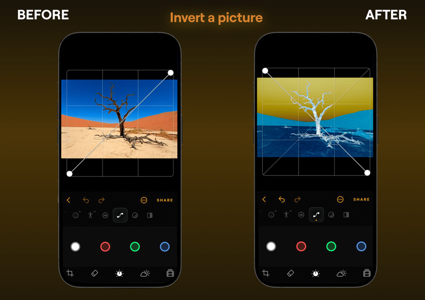 How to Invert a Photo in Luminar Mobile | Skylum Blog