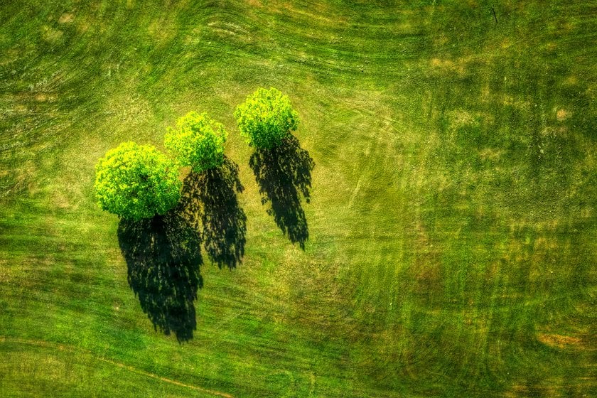The Rule of Odds in Photography: How to Create Balanced Compositions | Skylum Blog(3)