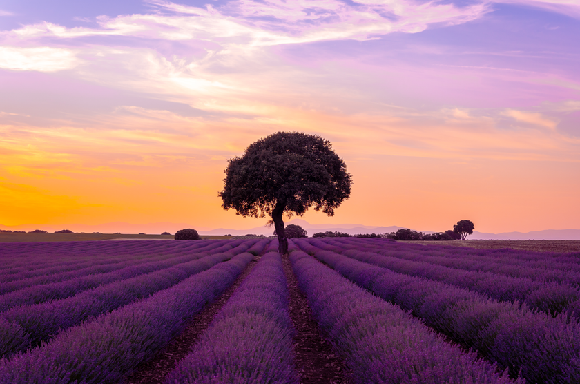 The Rule of Odds in Photography: How to Create Balanced Compositions | Skylum Blog(5)