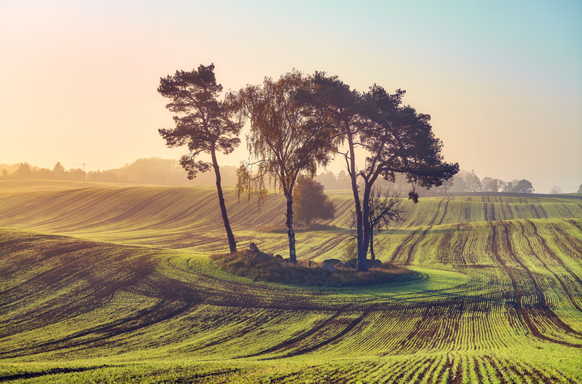 The Rule of Odds in Photography: How to Create Balanced Compositions | Skylum Blog(4)